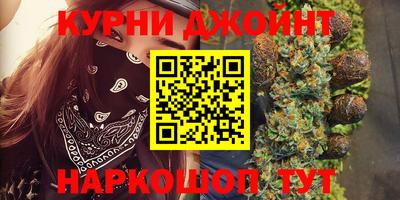 мяу мяу мука Кандалакша