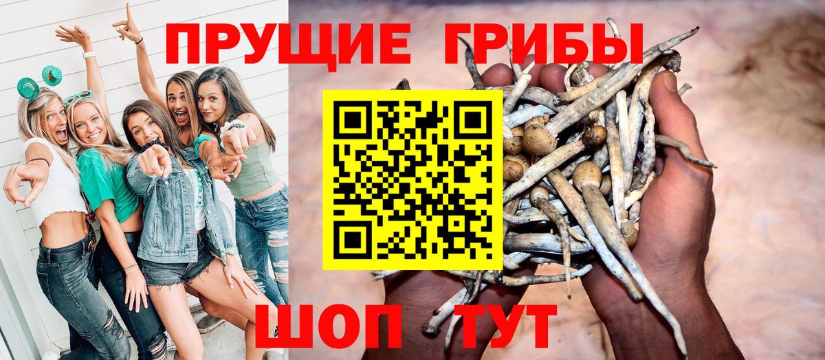 Галлюциногенные грибы Psilocybine cubensis  Галлюциногенные грибы мицелий  Кувандык  Вход с VPN 