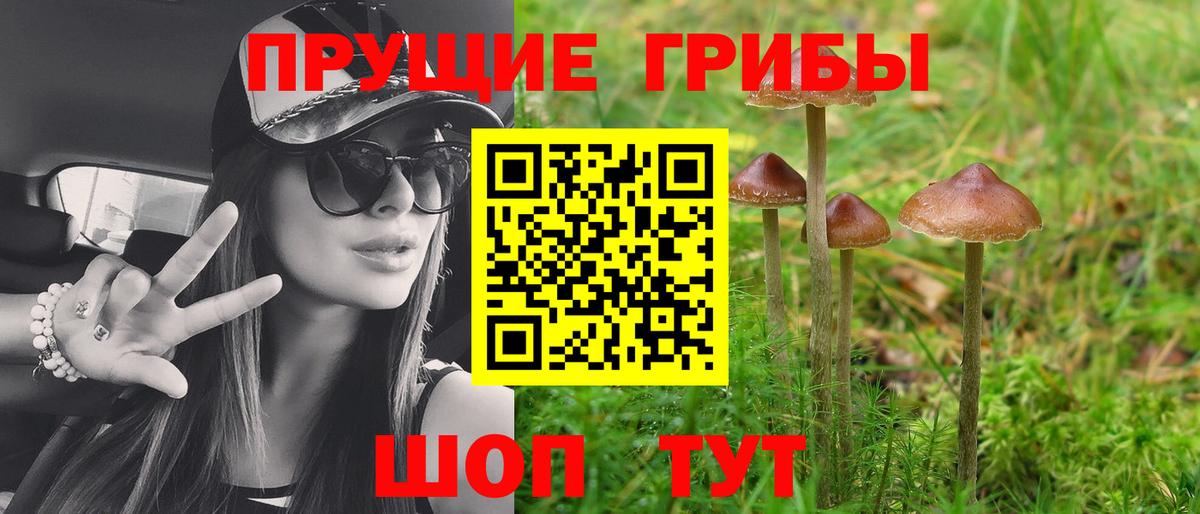 Галлюциногенные грибы Cubensis Кувандык